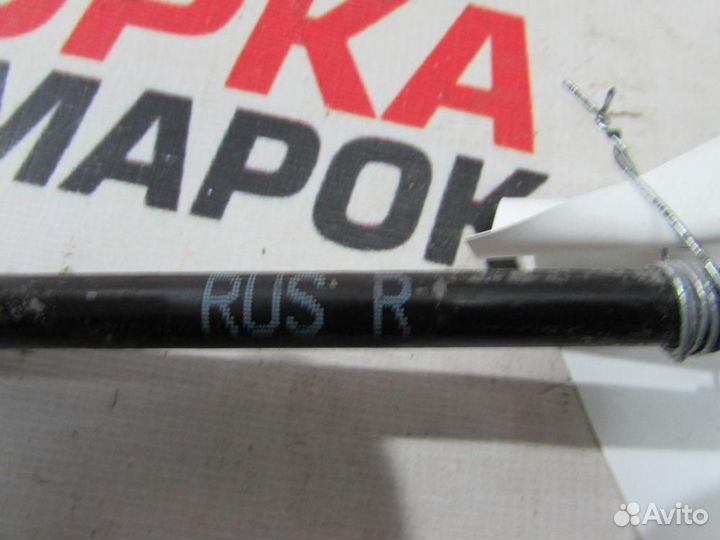 Стойка переднего стабилизатора для Nissan Murano 2