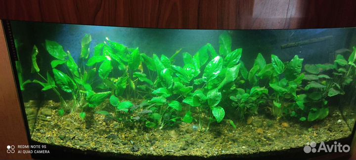 Аквариум с тумбой 340 литров