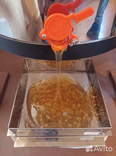 Башкирский мед оптом. Урожай 2022