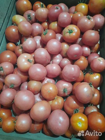 Продукты питания