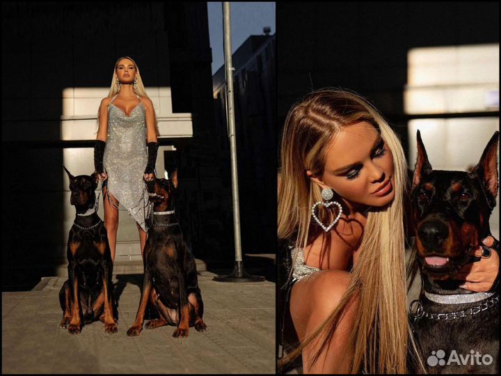 Фотосессия с доберманом 