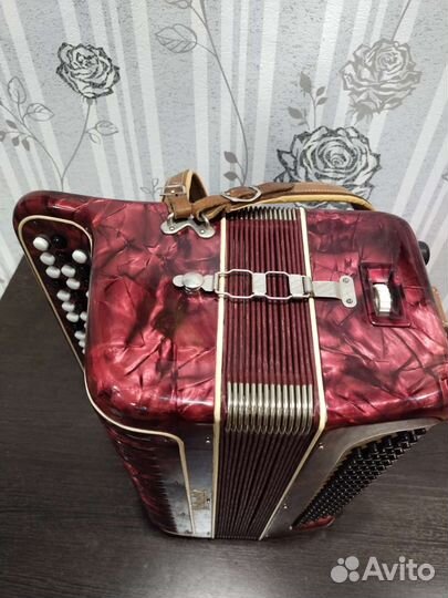 Баян weltmeister