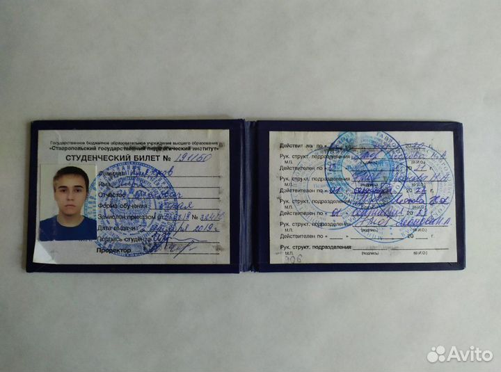 Репетитор (Русский язык и Литература)