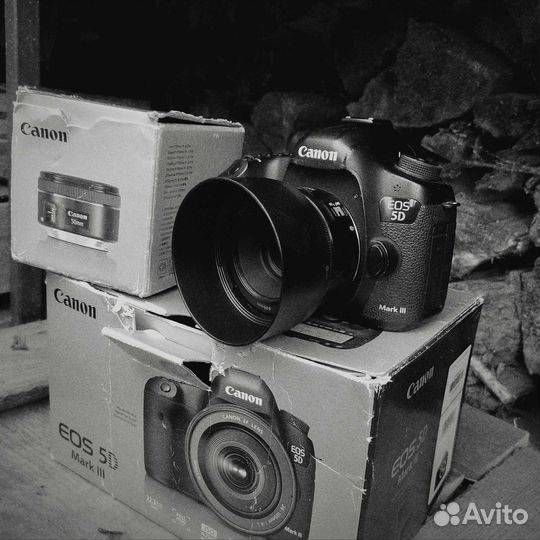 Canon eos 5d mark iii + 50 mm /1.8 stm