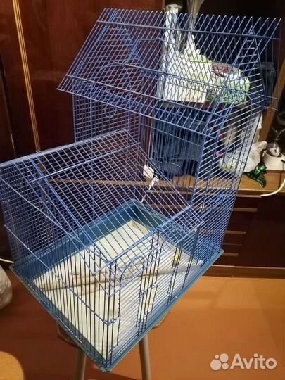Клетка для волнистого попугая