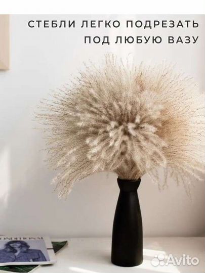 Новая Пампасная трава, Сухоцвет для декора