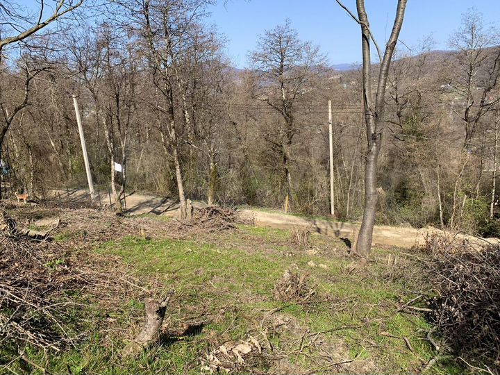 Участок 5 сот. (СНТ, ДНП)