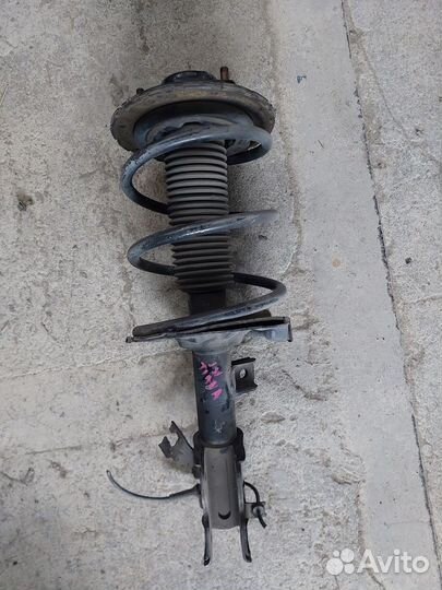 Стойка, амортизатор левый ниссан теана 31