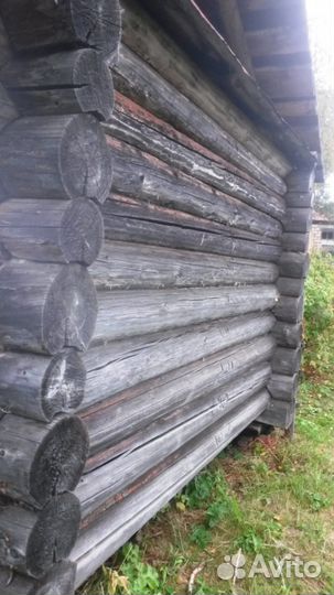 Сруб 3 х 4 под баню, мшаник для ульев