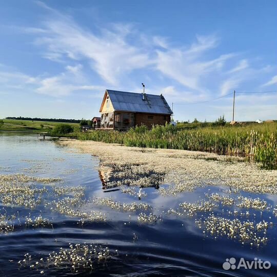 Дом - на берегу пруда