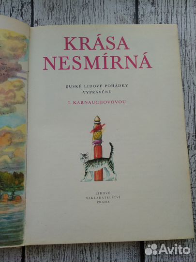 Книга русских сказок на чешском языке