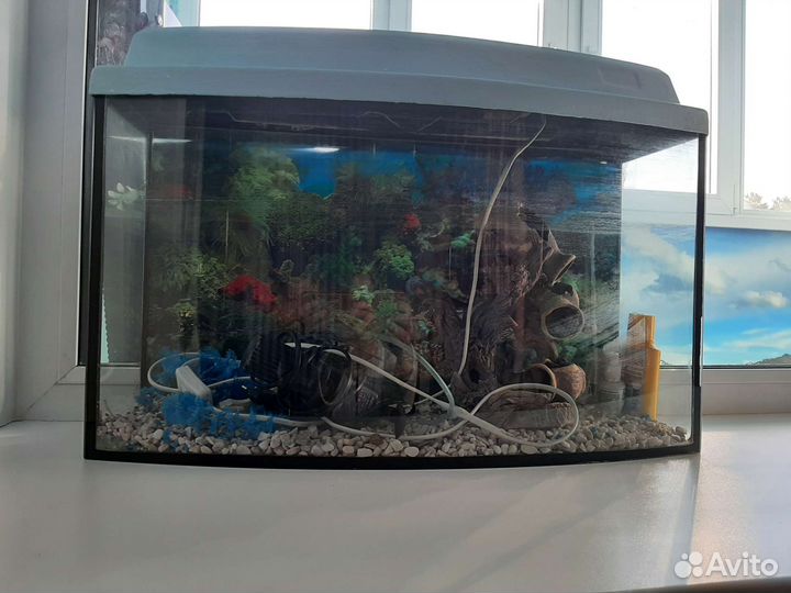 Аквариум и аксессуары