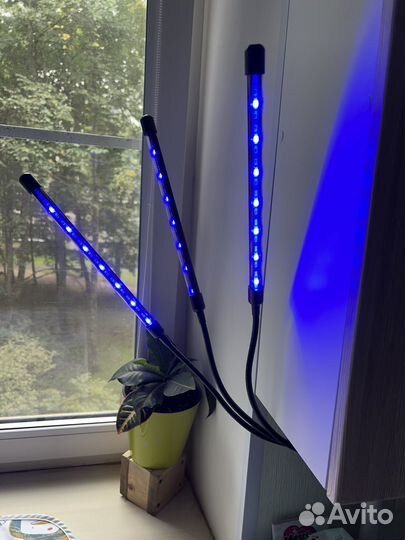 Фитолампа для растений светодиодная