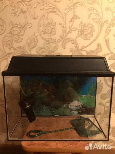 Аквариум