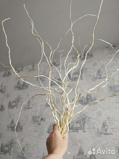 Декоративные ветки