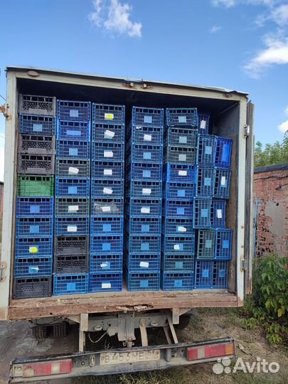 Пластиковые ящики для овощей бу