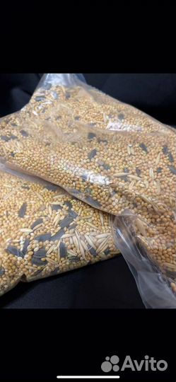 Корм для попугаев