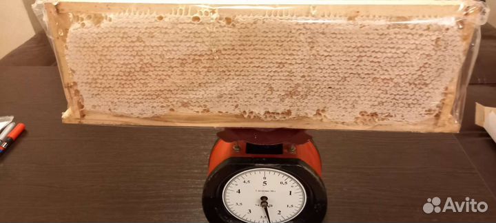 Рамка меда в сотах