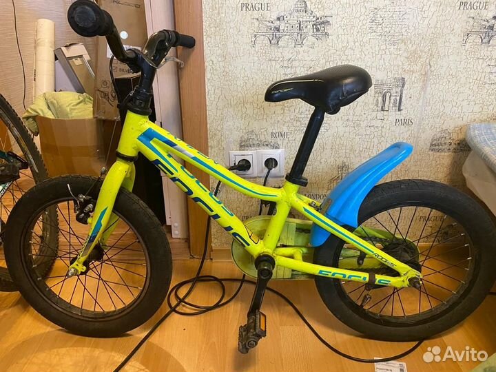 Велосипед детский 16 Focus Raven Rookie