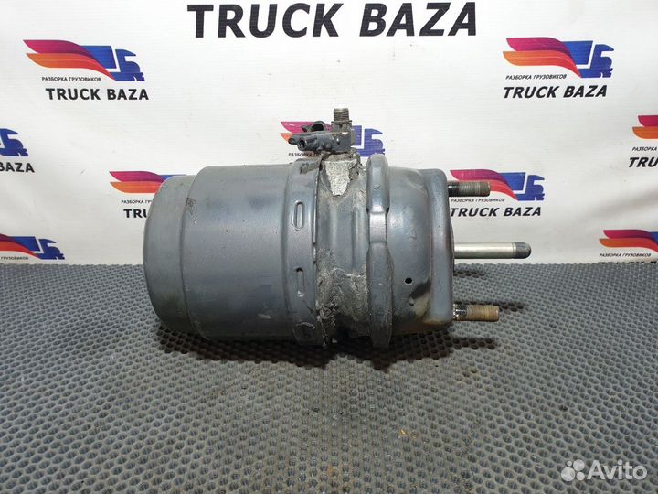 1686001 Энергоаккумулятор тормозной