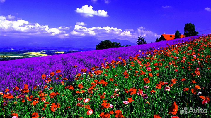 Комплектовка посылок на складе в Ночь / (РФ)