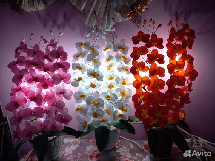 Орхидеи, Дендробиум, орхидея, цветы растения