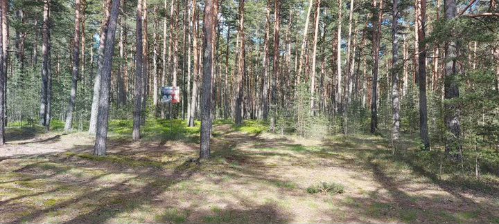 Участок 30,5 га (СНТ, ДНП)