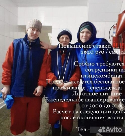 Фасовщики вахта на птицефабрику