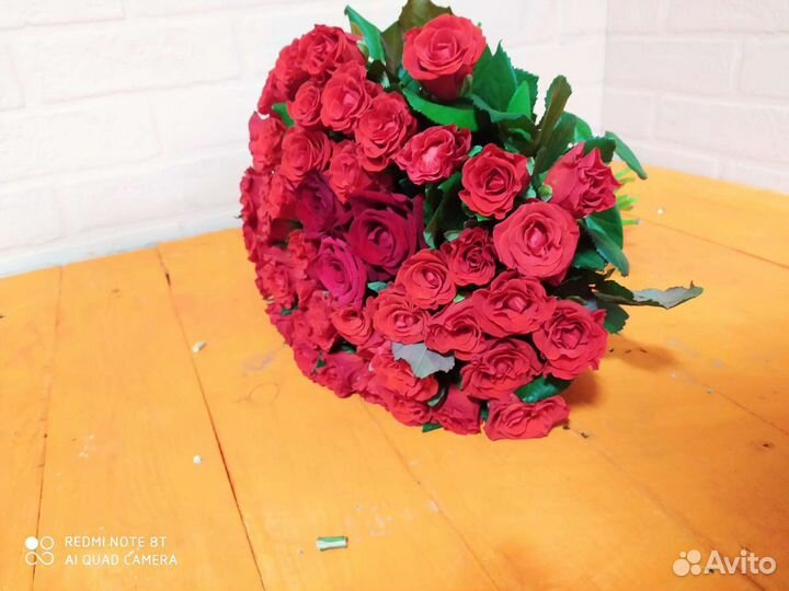 51 роза. Ставрополь