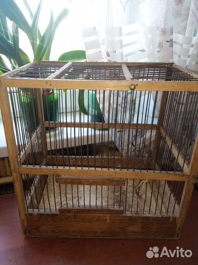 Клетки для птиц и переноска