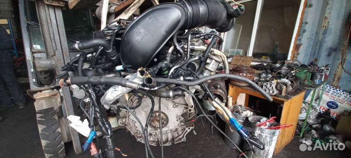 Двигатель ASN Audi A6 C6 (S6,RS6) 3.0