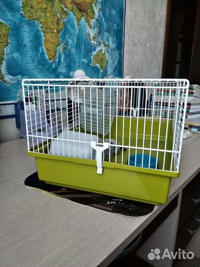 Клетка для грызунов бу
