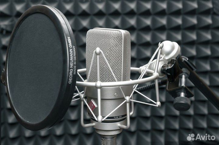 Студийный микрофон Neumann TLM 103 + паук