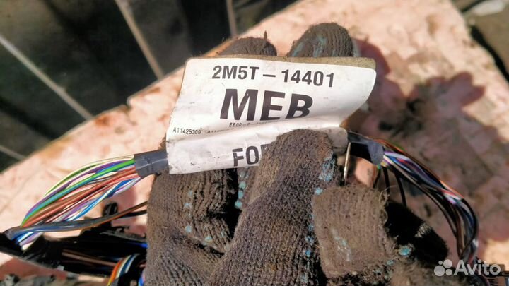 Проводка (коса) Ford Focus 1