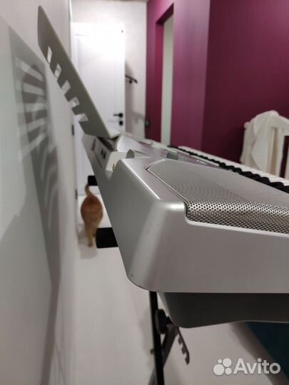 Синтезатор casio CTK-800