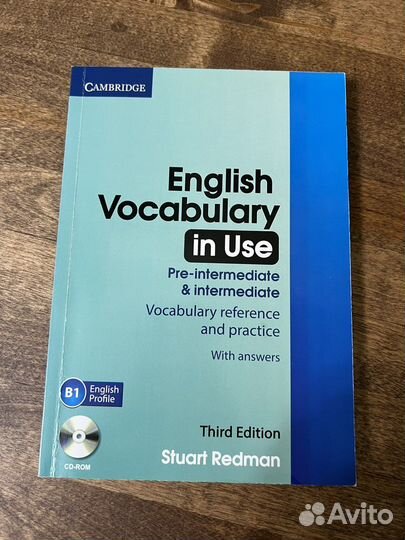 English vocabulary in use