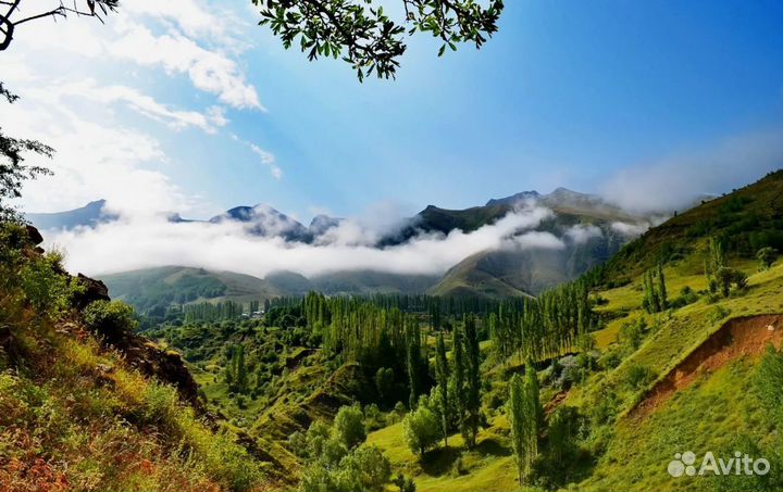 Relax тур в Турцию на 5 ночей