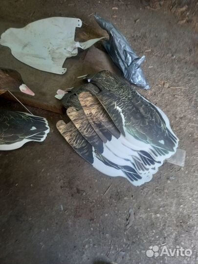 Гусиные профиля