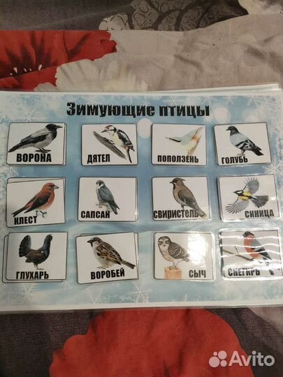 Альбом на липучках