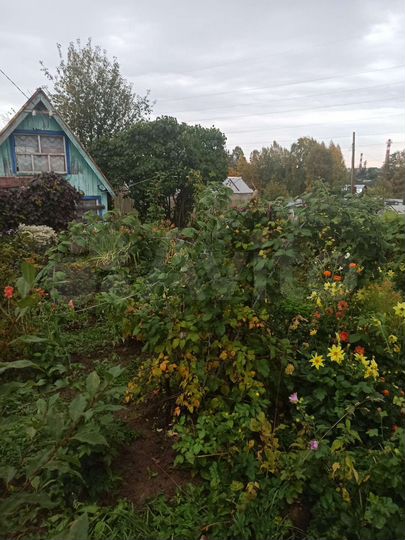 Дача 15 м² на участке 6 сот.