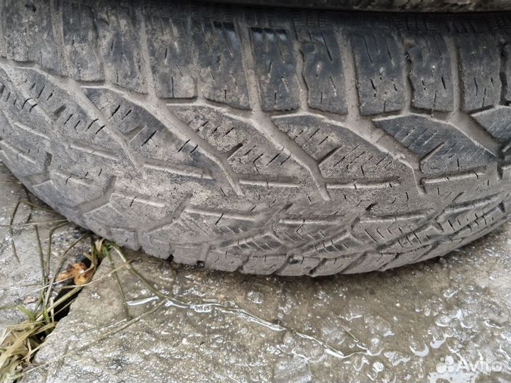 Tigar Winter 185/60 R15 88T