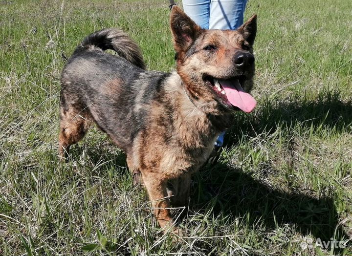 Ева ищет дом