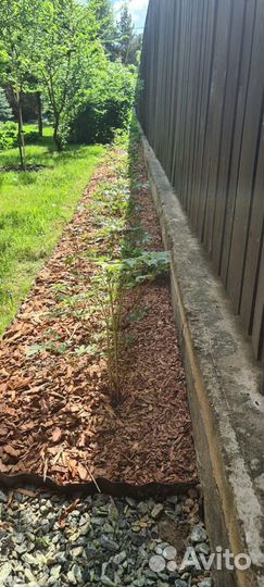 Мульча кора