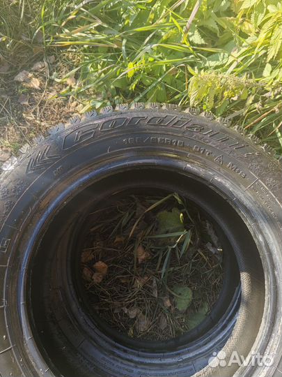 Cordiant Sno-Max 195/65 R15