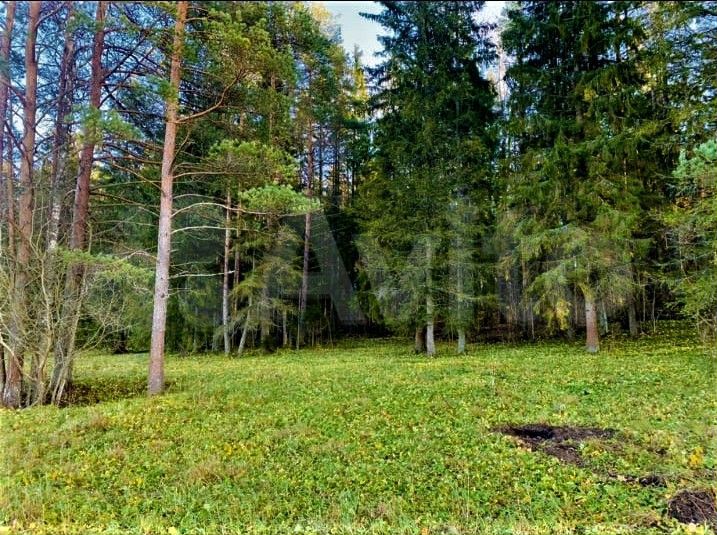 Участок 8,5 сот. (СНТ, ДНП)
