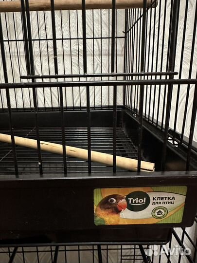 Клетка для птиц