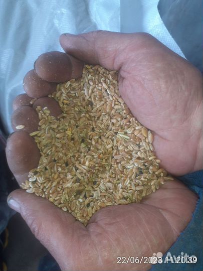 Комбикорма Naturina