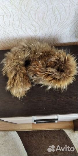Мех натуральный воротник