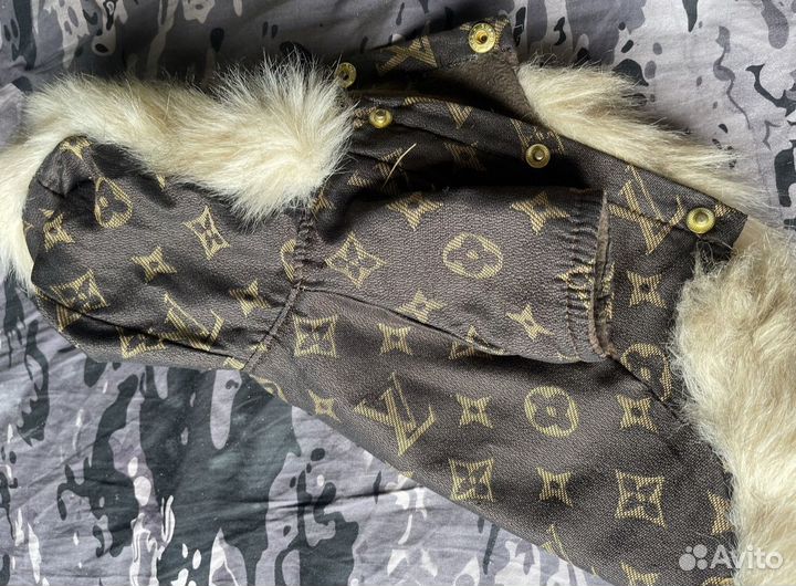 Костюм для собаки