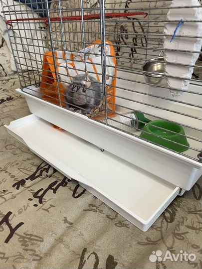 Клетка для грызунов крыс